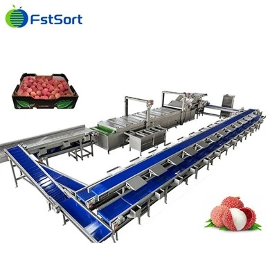 Lychee Təmizləyici Qablaşdırma Maşını